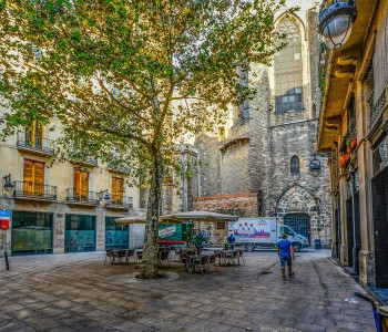 Visita por el Barrio Gótico, El Born y Sagrada Familia