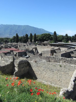 Excursión a Pompeya y Monte Vesubio - Picture 2