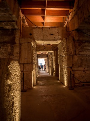 Visita los Subterráneos del Coliseo y el Foro Romano con un grupo pequeño - Picture 6