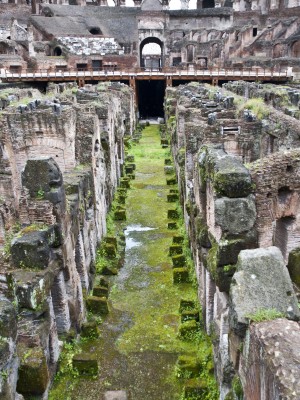 Visita los Subterráneos del Coliseo y el Foro Romano con un grupo pequeño - Picture 3