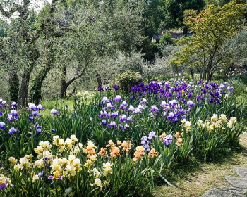 Los jardines secretos de Florencia: joyas ocultas en la ciudad