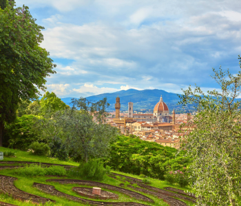 Florence in a Day - Private Full Day Tour