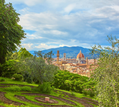 Florence in a Day - Private Full Day Tour