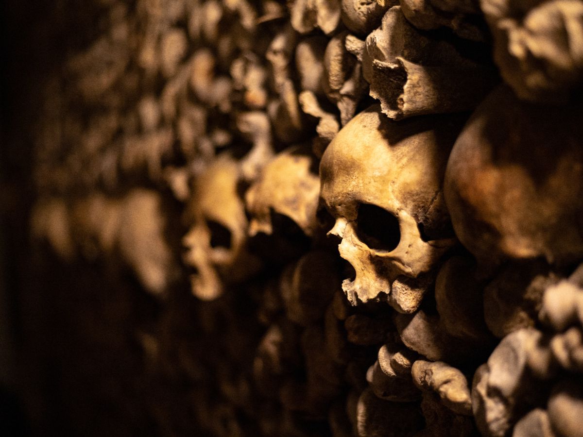 skulls in the catacombs