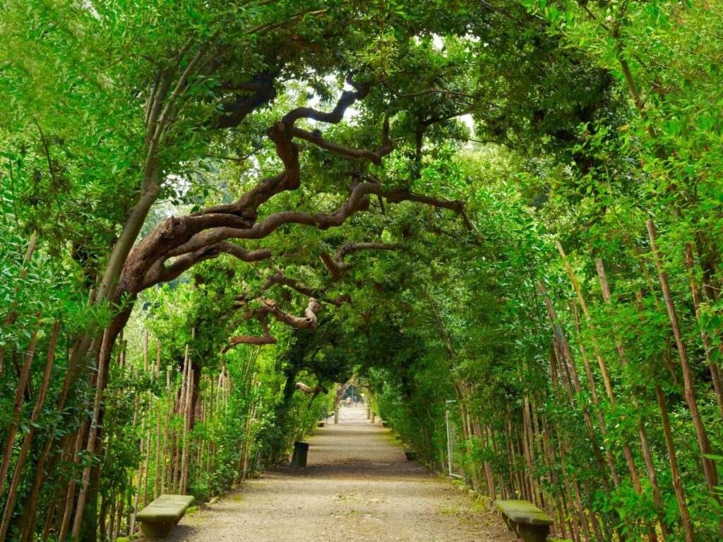 Boboli Gardens
